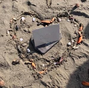 Meet your Posher, Chantel